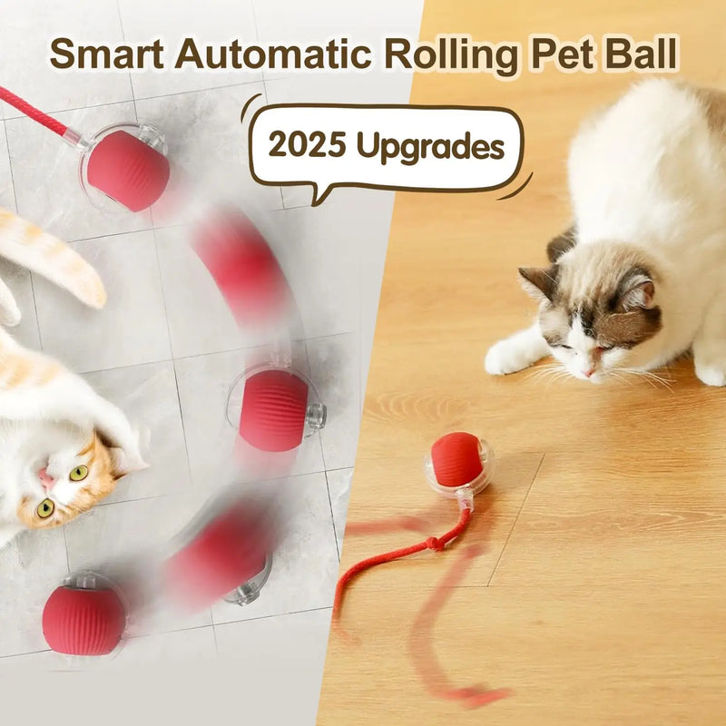 Brinquedo interativo da bola do gato, bola de rolamento automática com cauda, brinquedo interativo esperto recarregável do animal de estimação, rato inteligente para o gato